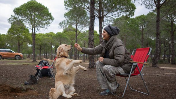 Solo Camping with dog