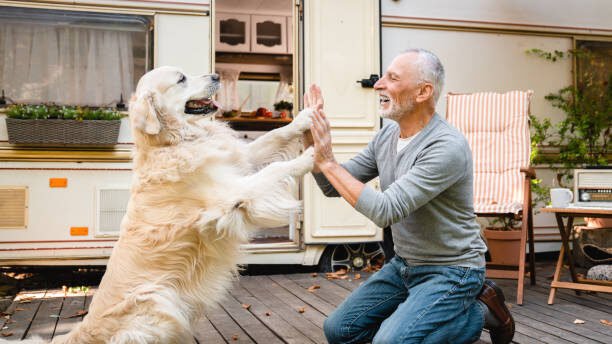 RV Camping with Dogs