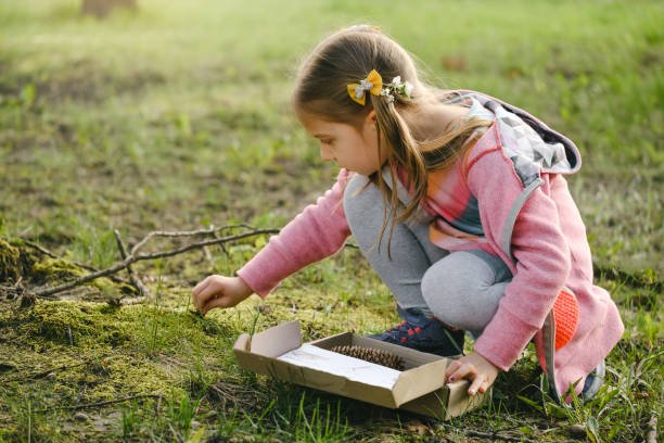 Camping Activities for kids